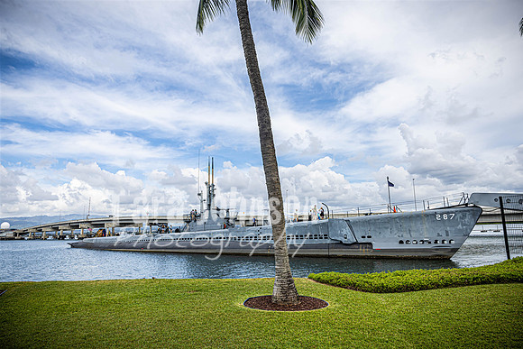 SAHT - Pearl Harbor - TJP (29 of 31)