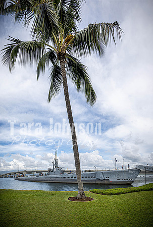 SAHT - Pearl Harbor - TJP (30 of 31)