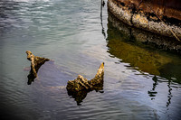 SAHT - USS Arizona - TJP (3 of 21)