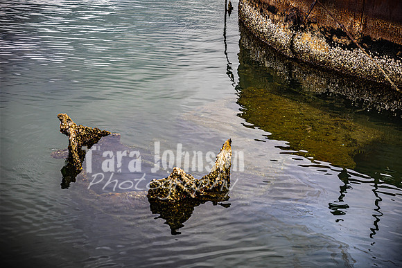 SAHT - USS Arizona - TJP (3 of 21)
