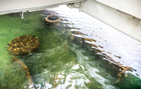 SAHT - USS Arizona - TJP (11 of 21)