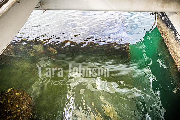 SAHT - USS Arizona - TJP (10 of 21)