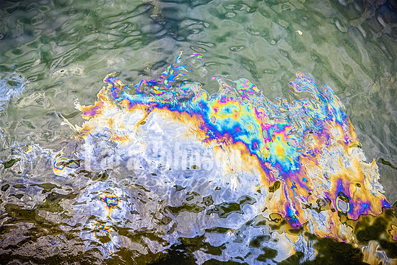 SAHT - USS Arizona - TJP (13 of 21)