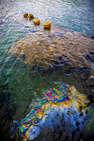 SAHT - USS Arizona - TJP (14 of 21)
