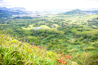 SAHT - O'ahu Coast - TJP (16 of 18)