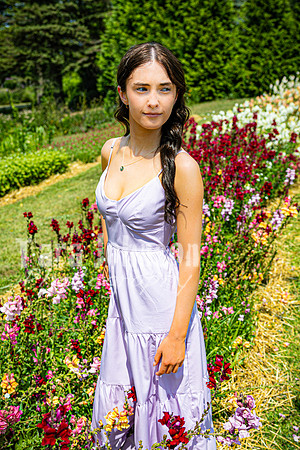 Margret Van Netten @ Terraces Flower Farm (Color-B) - TJP (35 of 100)