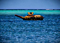 SAHT - Red, Yellow, Green, Blue Beaches in Saipan - TJP (11 of 22)
