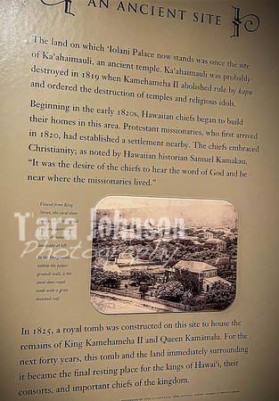 SAHT - Luanne Bibbee - TJP (15 of 114)