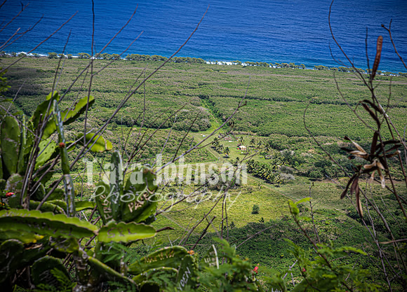 SAHT - Suicide & Banzai Cliffs in Saipan - TJP (13 of 51)
