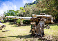 SAHT - Japanese Memorial in Saipan - TJP (5 of 30)