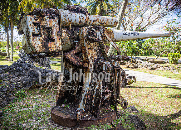 SAHT - Japanese Memorial in Saipan - TJP (7 of 30)