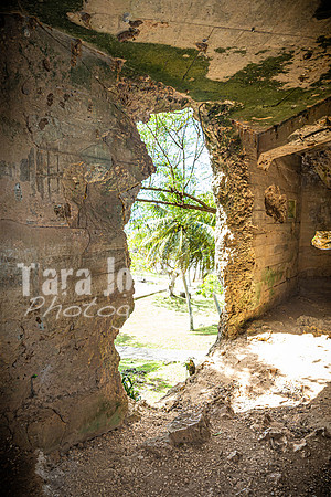 SAHT - Japanese Memorial in Saipan - TJP (14 of 30)