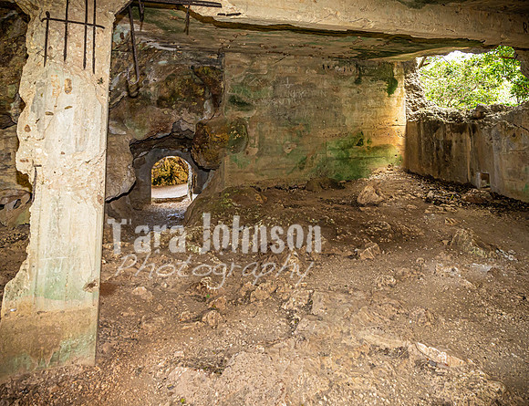 SAHT - Japanese Memorial in Saipan - TJP (16 of 30)