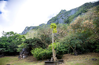 SAHT - Japanese Memorial in Saipan - TJP (20 of 30)