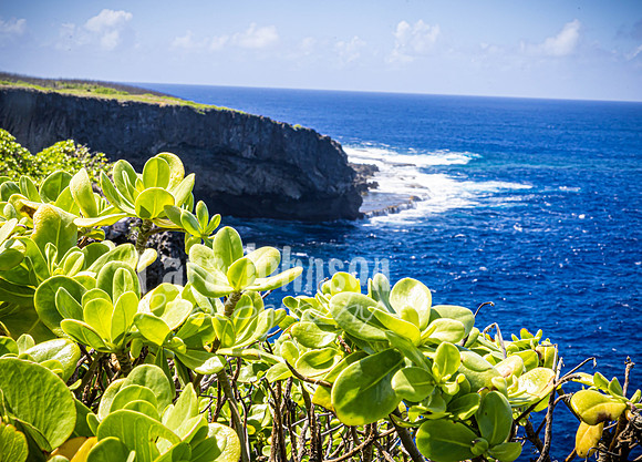 SAHT - Suicide & Banzai Cliffs in Saipan - TJP (35 of 51)