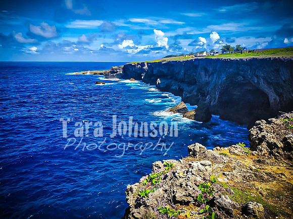 SAHT - Suicide & Banzai Cliffs in Saipan - TJP (41 of 51)