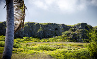 SAHT - Tinian Suicide Cliffs - TJP (4 of 23)