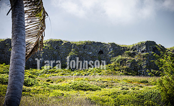 SAHT - Tinian Suicide Cliffs - TJP (4 of 23)