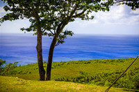SAHT - Tinian Suicide Cliffs - TJP (1 of 23)