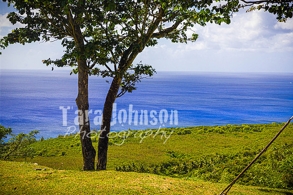 SAHT - Tinian Suicide Cliffs - TJP (1 of 23)