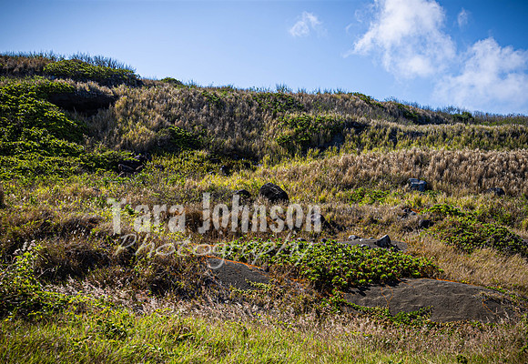 SAHT - Iwo Jima - TJP (133 of 186)