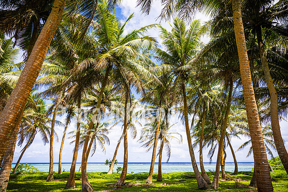 SAHT - Asan Beach in Guam - TJP (31 of 83)