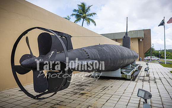 SAHT - Liberation of the Naval Base in Guam - TJP (11 of 36)