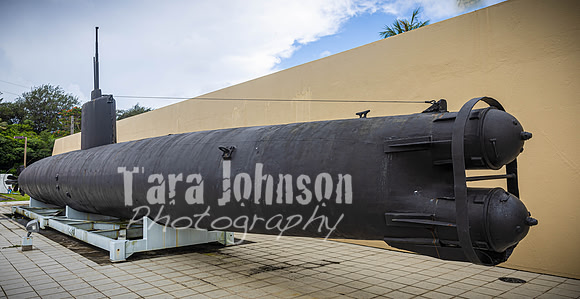 SAHT - Liberation of the Naval Base in Guam - TJP (12 of 36)