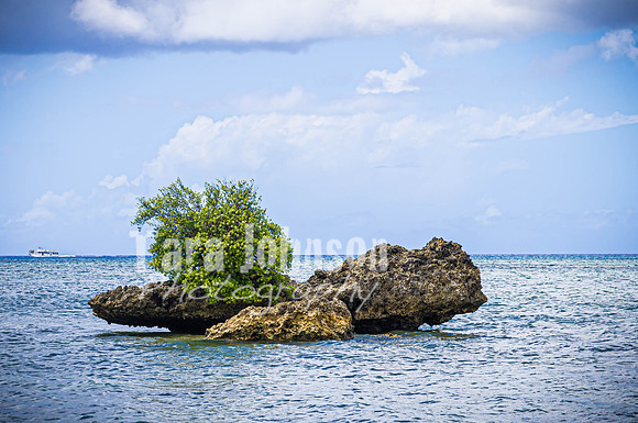 SAHT - Agat Beach in Guam - TJP (12 of 27)