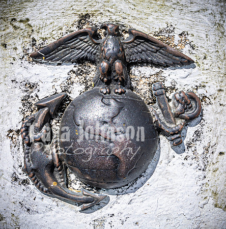 SAHT - War Dog Cemetary - TJP (4 of 12)