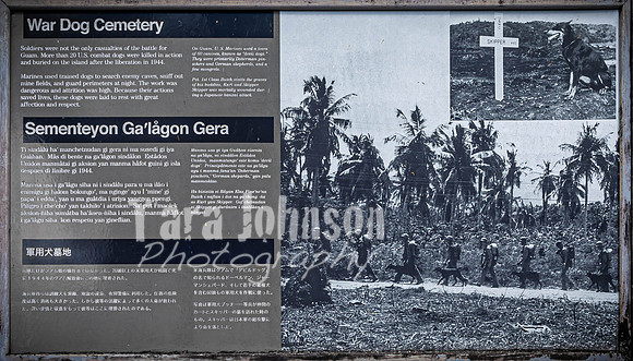 SAHT - War Dog Cemetary - TJP (5 of 12)