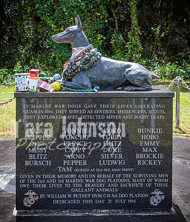 SAHT - War Dog Cemetary - TJP (2 of 12)