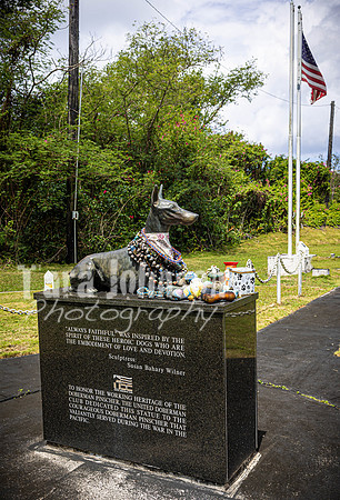 SAHT - War Dog Cemetary - TJP (3 of 12)