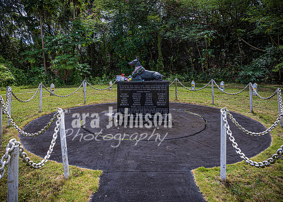 SAHT - War Dog Cemetary - TJP (1 of 12)