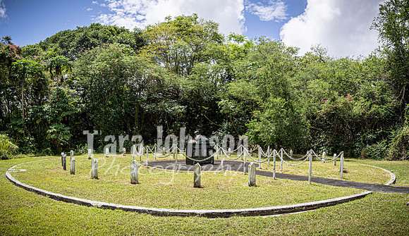 SAHT - War Dog Cemetary - TJP (8 of 12)