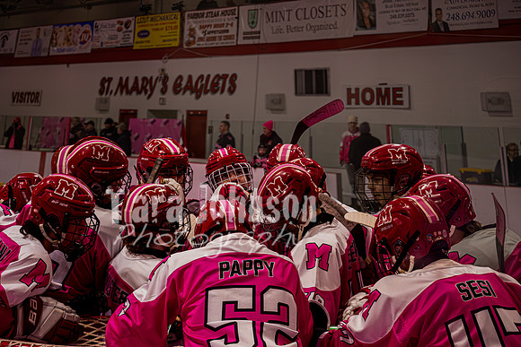 2025 Pink In The Rink- AA (27 of 29)