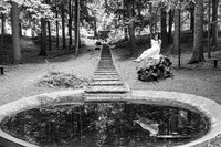 Mercedes Beyersdorf @ Cranbrook House of Gardens - BW - TJP (8 of 33)