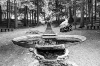 Mercedes Beyersdorf @ Cranbrook House of Gardens - BW - TJP (7 of 33)