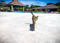 SAHT - Resorts - TJP (20 of 81)