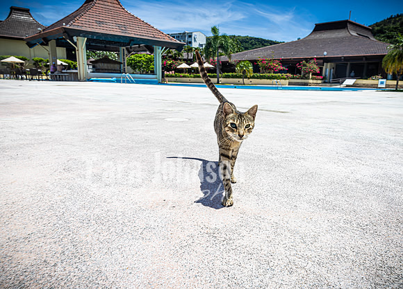 SAHT - Resorts - TJP (20 of 81)