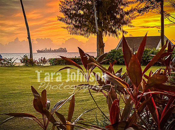 SAHT - Resorts - TJP (38 of 81)