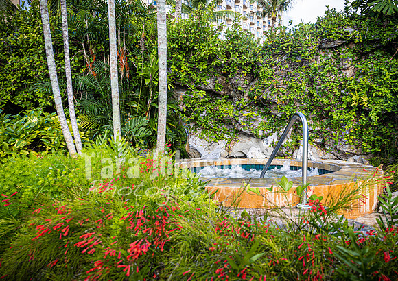 SAHT - Resorts - TJP (63 of 81)