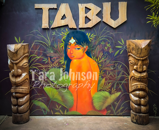 SAHT - Resorts - TJP (79 of 81)