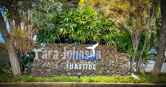 2023 Maui - Surfside - TJP (20 of 70)