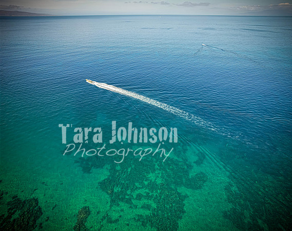 2023 Maui - Surfside - TJP (17 of 70)