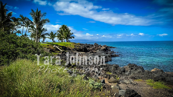 2023 Maui - Surfside - TJP (26 of 70)