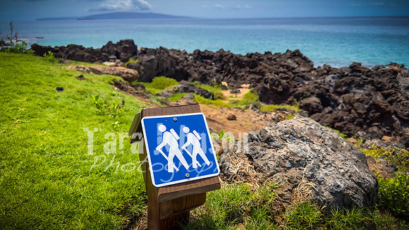 2023 Maui - Surfside - TJP (25 of 70)