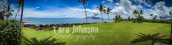 2023 Maui - Surfside - TJP (22 of 70)