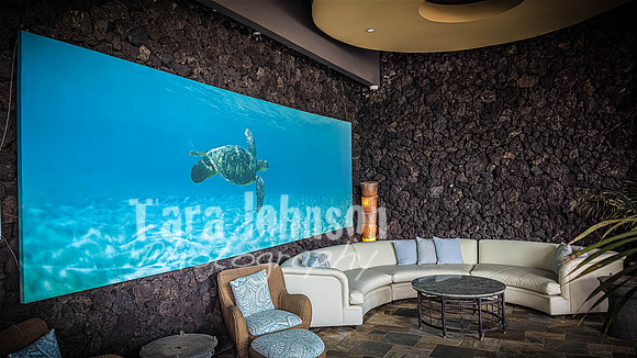 2023 Maui - Surfside - TJP (27 of 70)