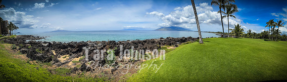 2023 Maui - Surfside - TJP (24 of 70)